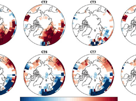    Influence of Springtime Atmospheric Circulation Types on the Distribution of Air Pollutants in the Arctic