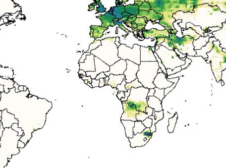 New global fine-scale changes in ambient nitrogen dioxide