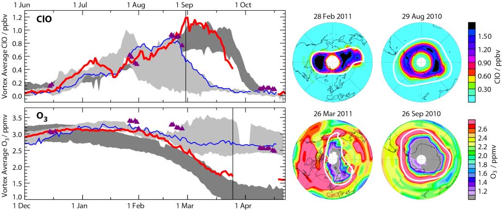  Aura Microwave Limb Sounder observations of Arctic vortex average chlorine monoxide and ozone 
