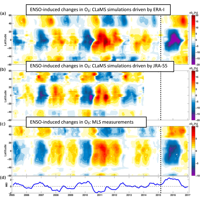  Structural changes in the shallow and transition branch of the Brewer–Dobson circulation induced by El Niño