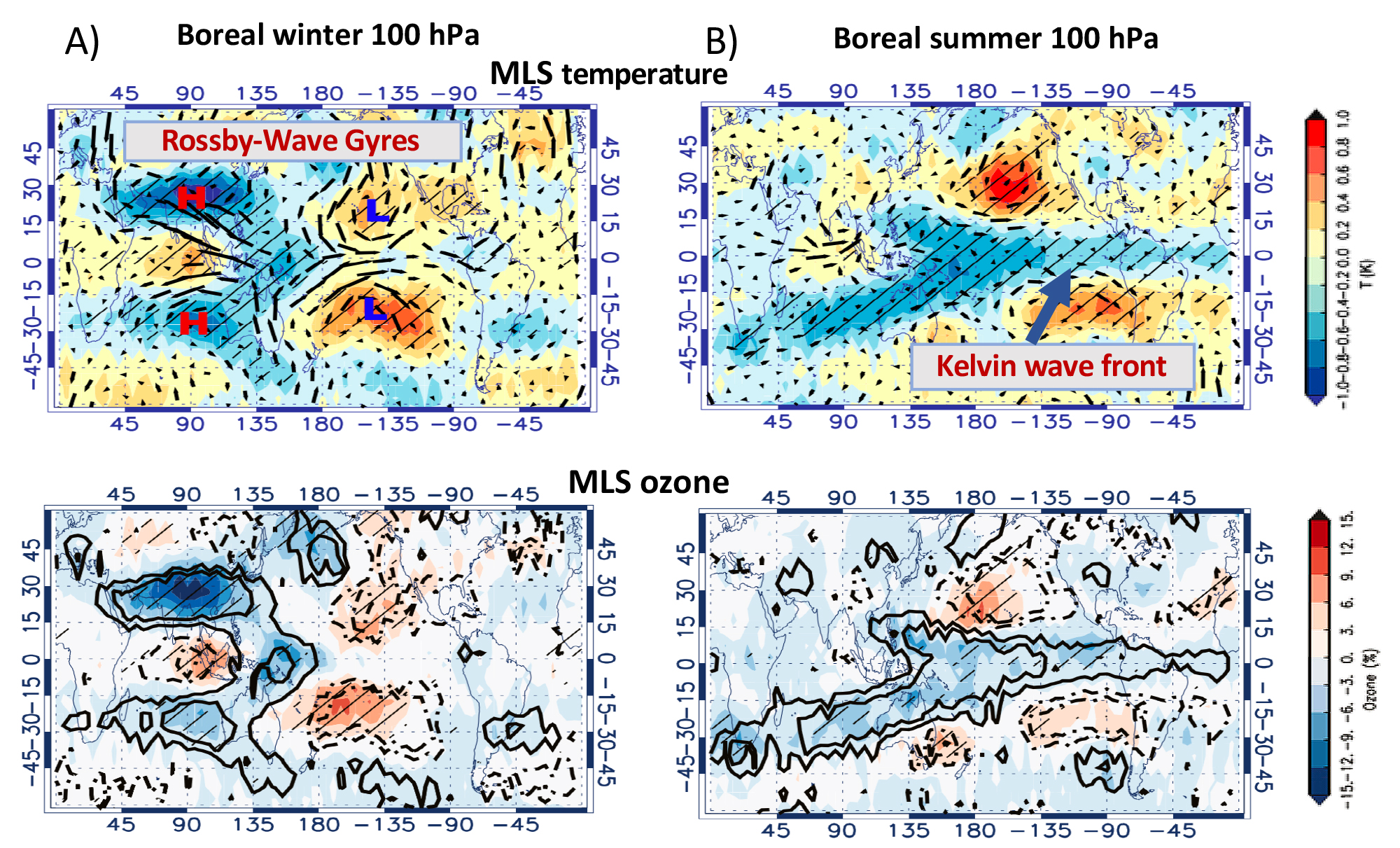  Atmospheric sensitivities to the MJO are revealed by 100 hPa MLS temperature and MERRA-2 winds, and ozone in boreal winter and summer months. For the latter, deep convection associated with the MJO is located over the Indian Ocean.   