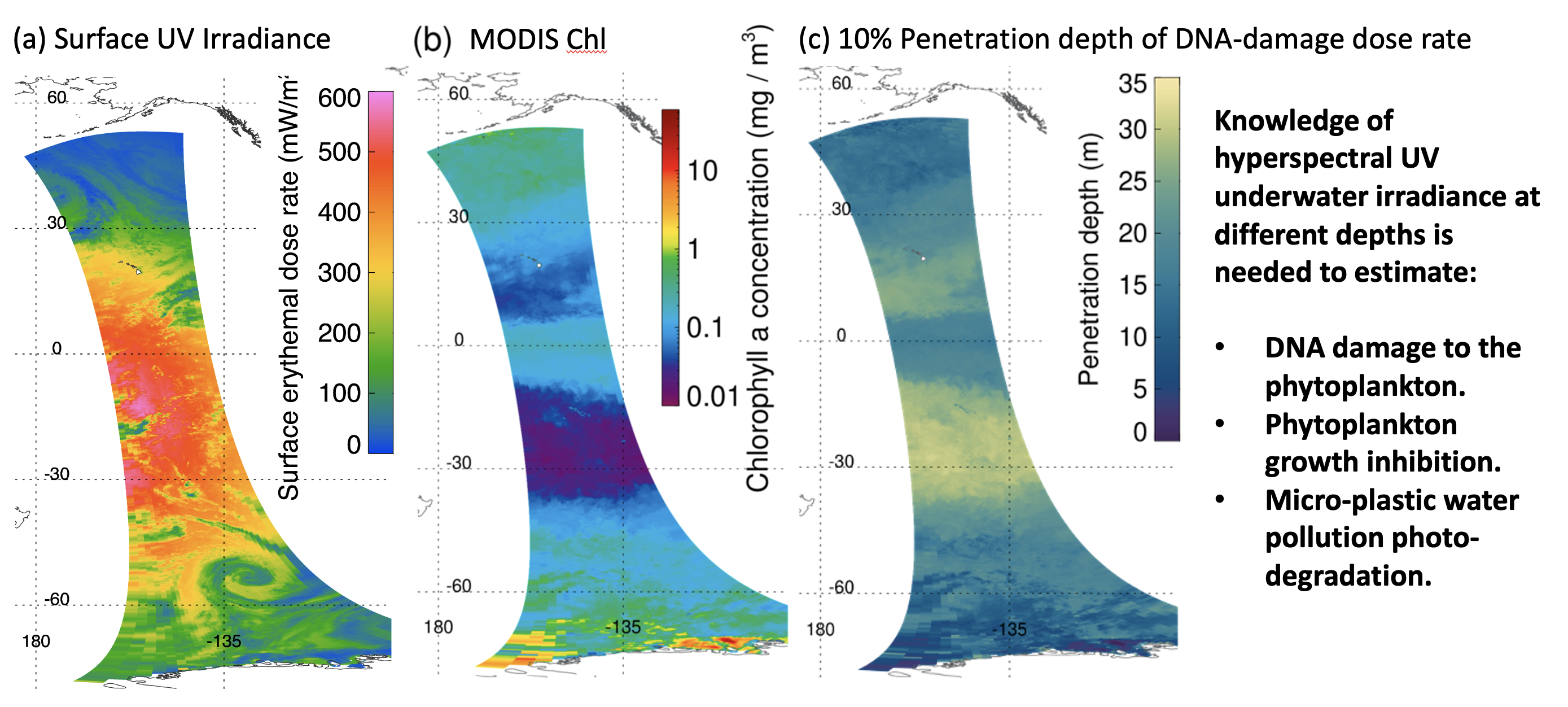 Knowledge of hyperspectral UV underwater irradiance at different depths 