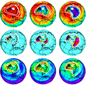 Destruction of Arctic Ozone during the Winter